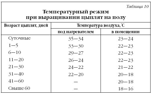 Температура в брудере для индюшат. Температура для цыплят бройлеров таблица. Температурный режим для цыплят несушек. Тепловой режим для цыплят бройлеров. Температура для цыплят несушек таблица.