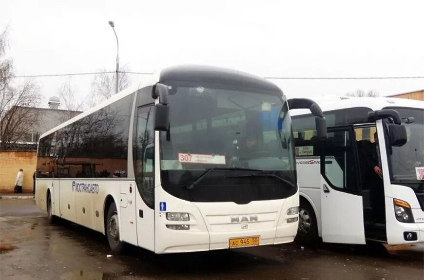 Волоколамское ПАТП. Шаховская Москва автобус. Автобус Шаховская Волоколамск. Автобус Волоколамск Лотошино. Автобус волоколамск москва сегодня