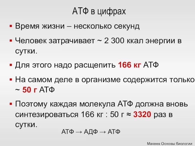 Атф это. Структура АТФ биология. АТФ В цифрах. Характеристика АТФ. Функции АТФ биология.