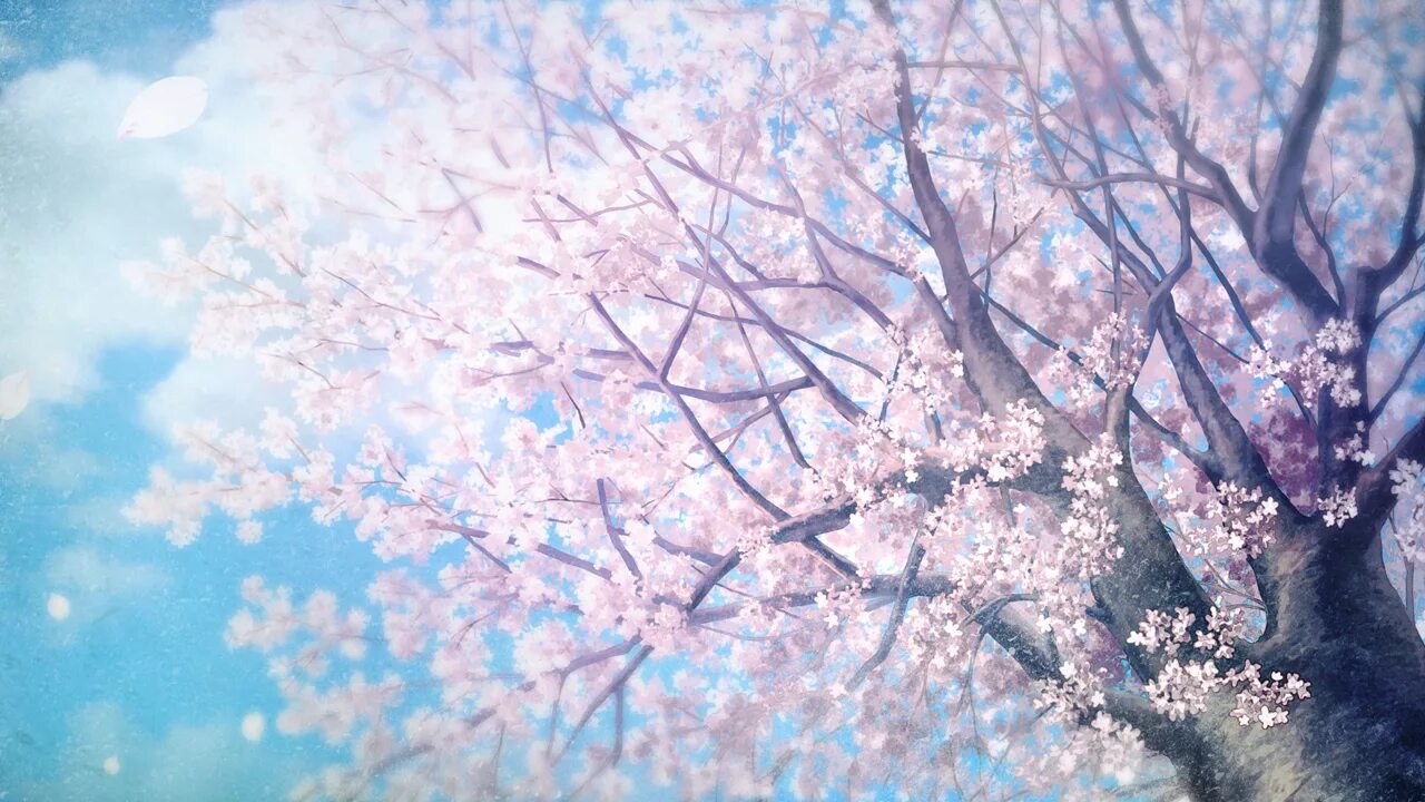 Art blossom. Art blossom. Ветка сакуры живопись япония. Сакура черри блоссом дерево. Сакура картина.