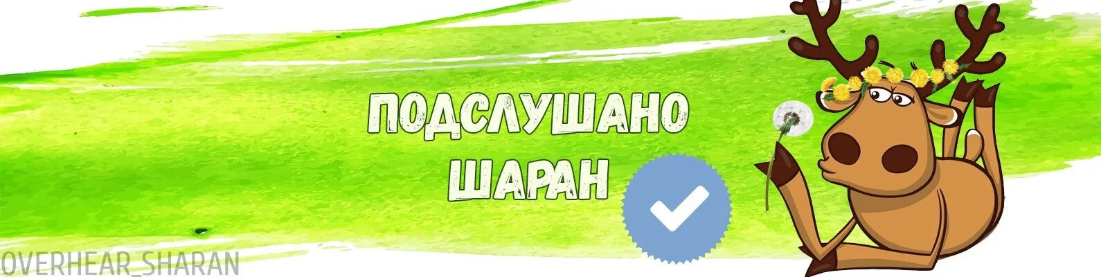 Подслушано мураши вконтакте объявления. Подслушано. Подслушано Кувандык объявления. ВКОНТАКТЕ Кувандык подслушано. Шаран лайф.