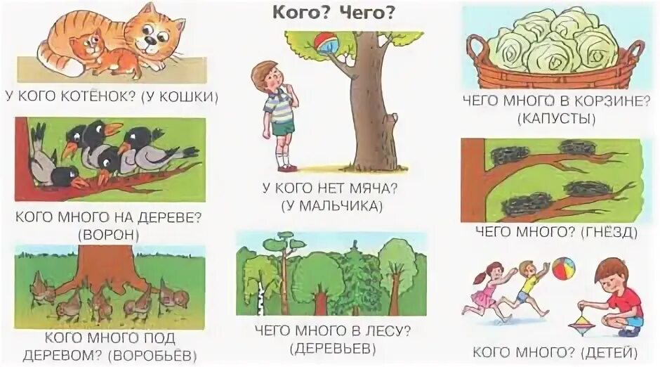 Дерево множественное число
