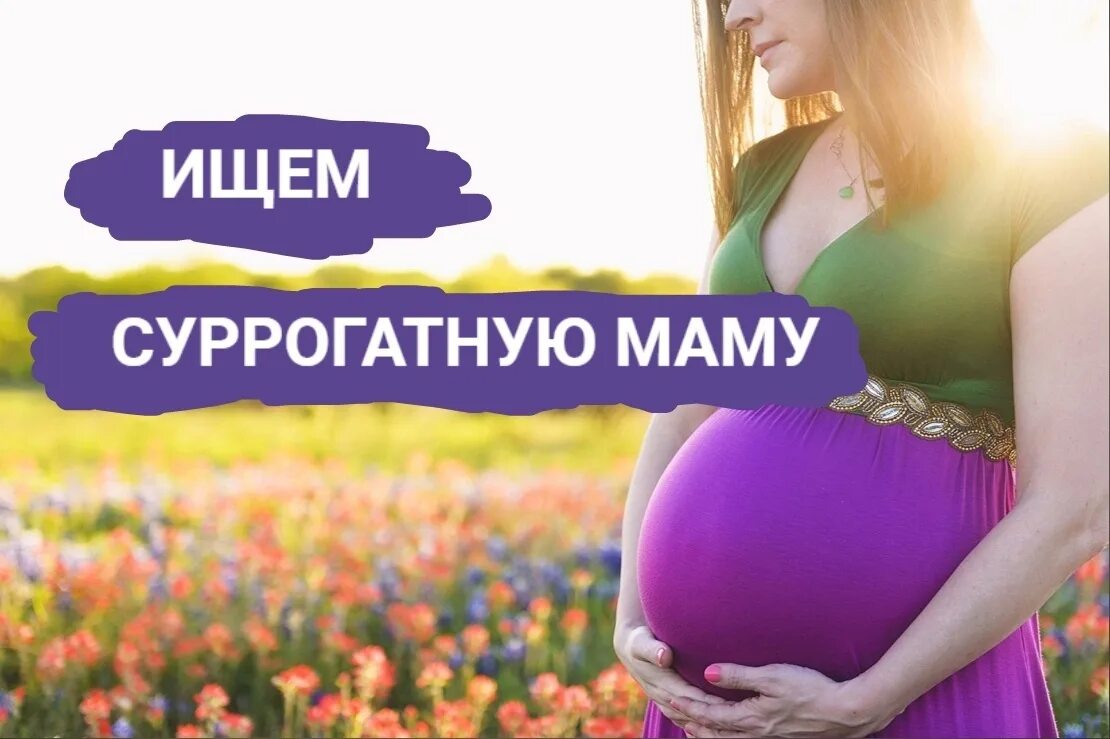 Ищу суррогатную маму