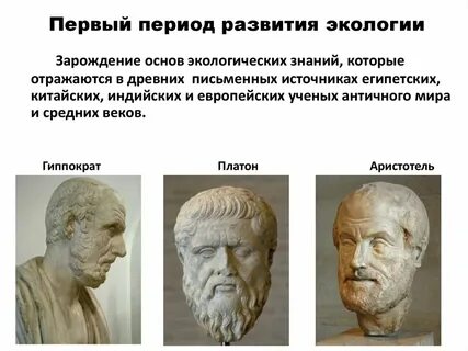 Экологический период