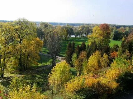 Архангельское курская область