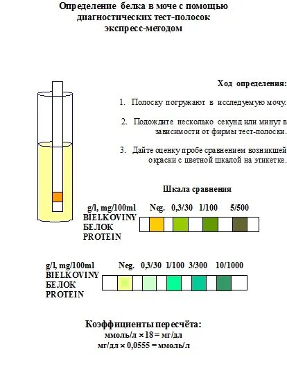 Определение белка в моче проба. Методы определения белка мочи. Тест на белок в моче палочка. Проба для выявления белка в моче..