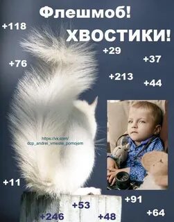 День хвостиков