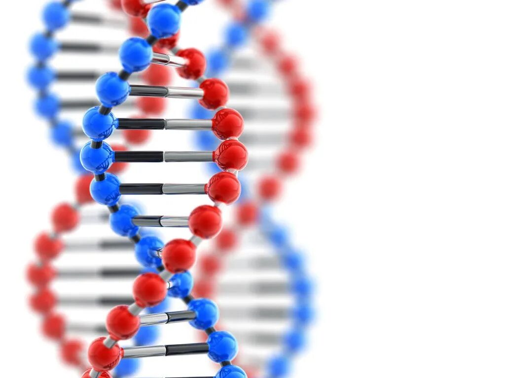 Гены ДНК. Молекула ДНК. Генетика ДНК. Молекула ДНК человека.
