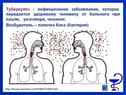 Инфекции доклад обж