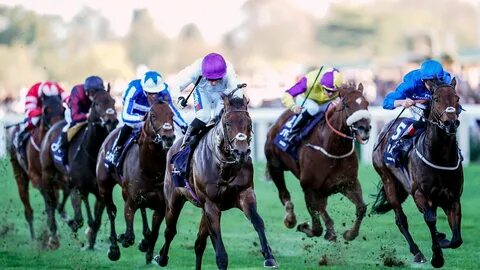 Ascot horse racing