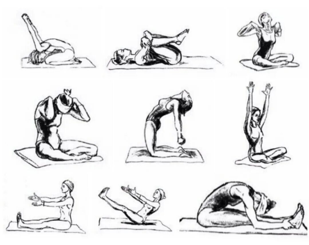 Растяжка мышц спины упражнения. Упражнения для гибкости спины. Упражнения на гибкость спины и растяжку.
