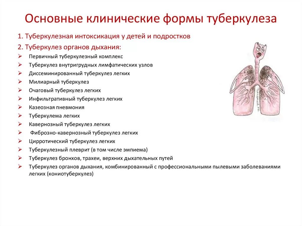 Начальная стадия туберкулеза у взрослых. Основные клинические синдромы туберкулеза легких. Туберкулёз лёгких основные клинические проявления. Основные клинические симптомы первичного туберкулеза. Основные клинические формы первичного туберкулеза органов дыхания.