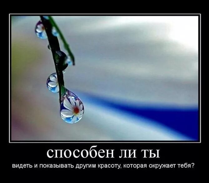 Когда друг пишет что уже видел мем. Ты видишь то что покажу. Ты видишь то что покажу. Двойственные изображения. То что вы видите во мне это ваше.