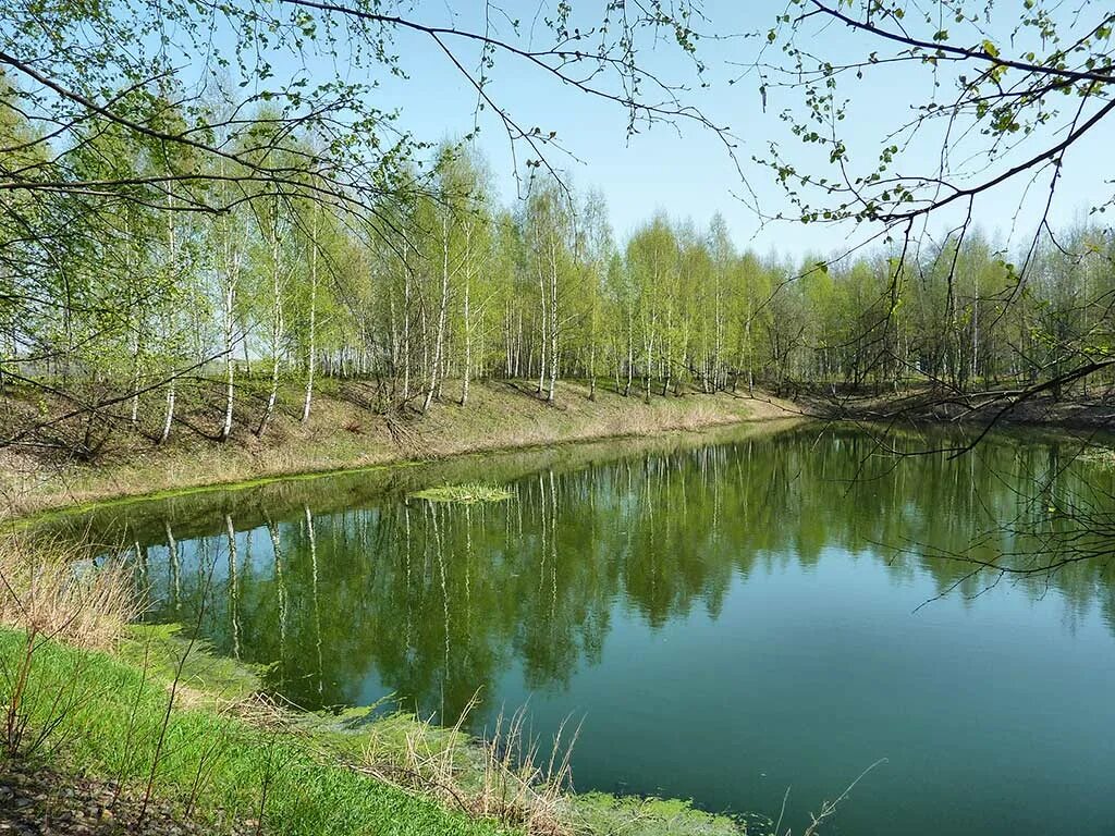 Пруд на староникольской улице. Староникольский пруд в щербинке. Староникольский пруд. Староникольский пруд в щербинке. Староникольский пруд в щербинке.