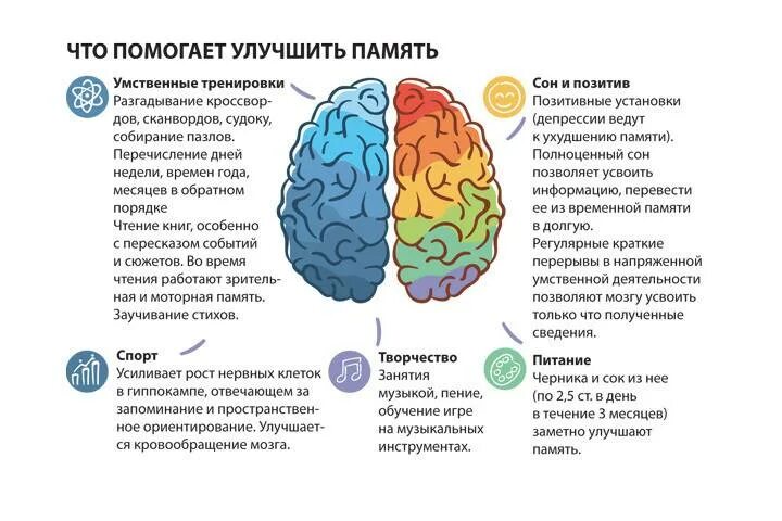 Как улучшить работу мозга