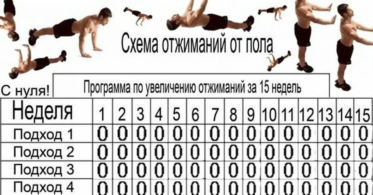 Сколько можно отжимания. Схема отжиманий от пола с нуля. Схема отжиманий с нуля. Тренировка на увеличение количества отжиманий. Отжимания от пола программа для начинающих.