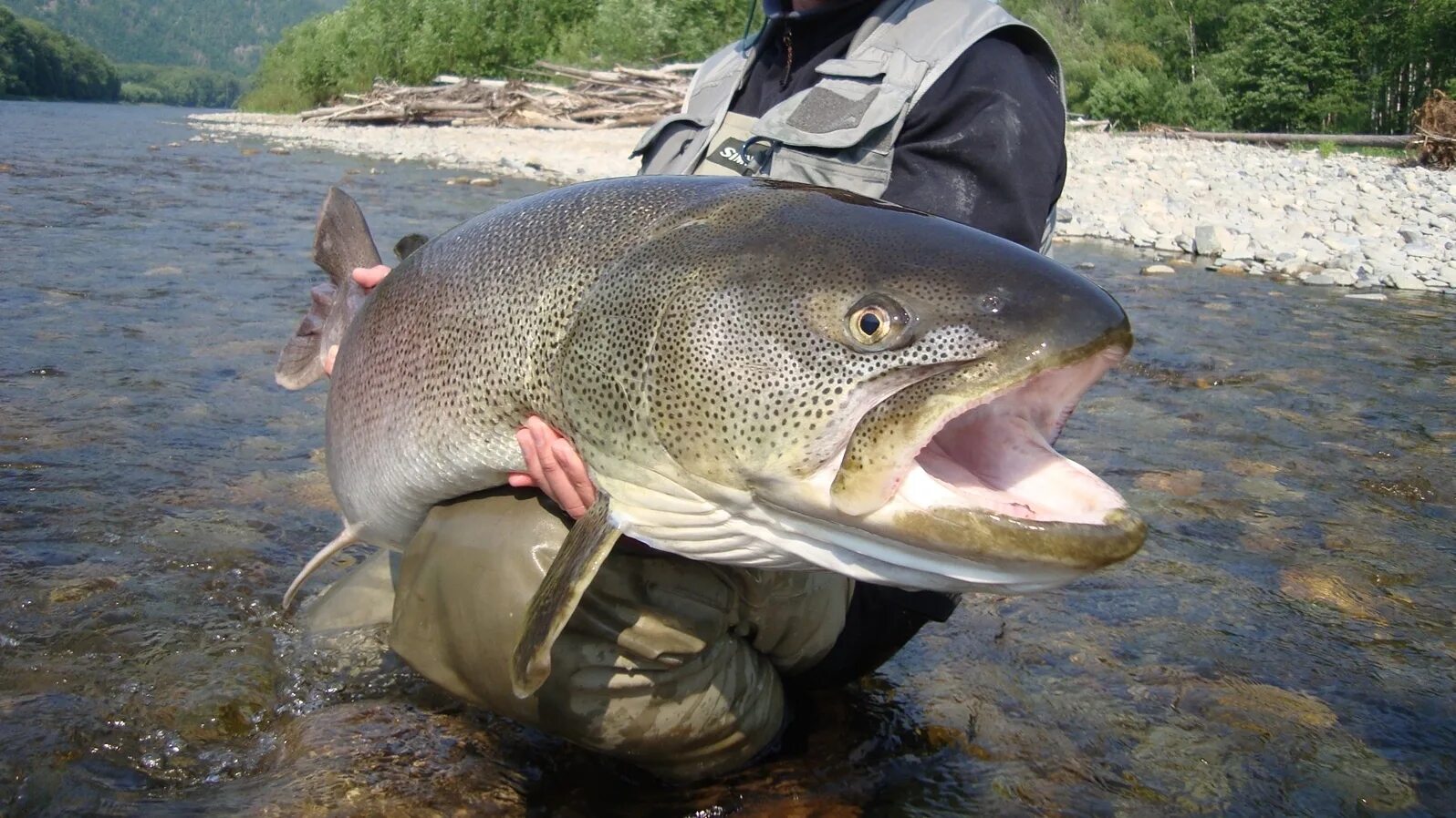 приморский рыболов компания. зимняя рыбалка в приморском. река журавлевка приморский край. лефу рыбалка в приморье. рыбалка морская приморский край.