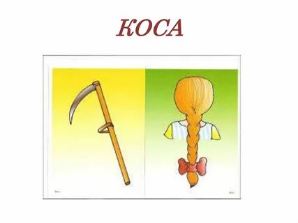 Значение омонимов кисть