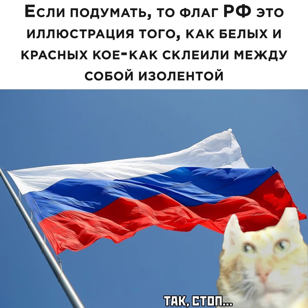 Смешной российский флаг. Флаг российский. Флаг России прикольный. Флаг РФ С приколом. Весел рф