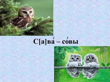 Звуки совы текстом