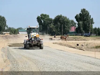 Погода октябрьское алтайский край