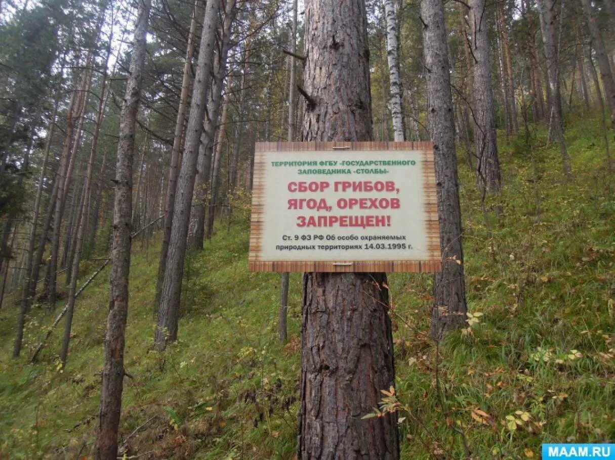 Заповедник березовский. Заказник Березовский. Заказник Березовский ХМАО. Елизаровский заповедник. Елизаровский заказник на карте.