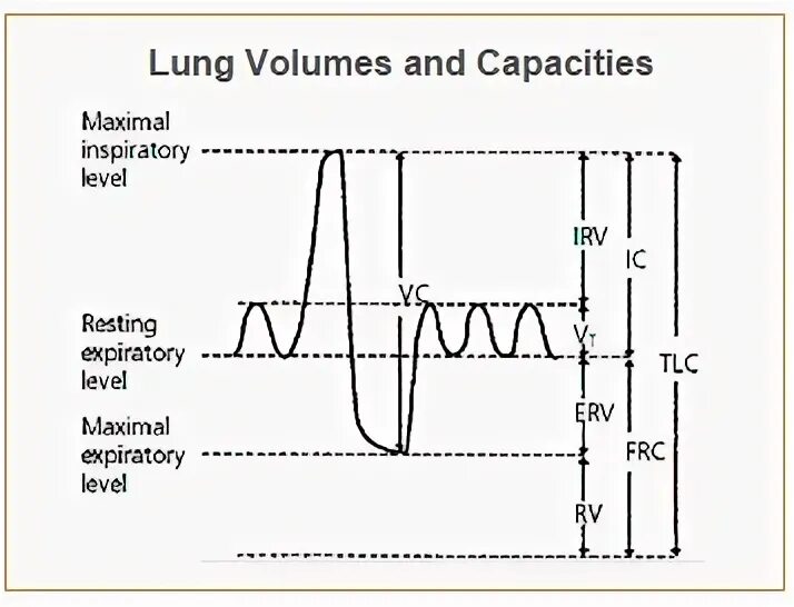 Rest levels