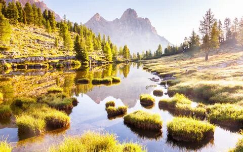 See nature