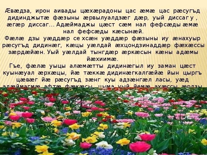 Стихи коста хетагурова на осетинском языке. Стихи на осетинском языке. Стихи на осетинском языке про любовь. Стихотворение на осетинском языке. Стих про маму на осетинском языке.