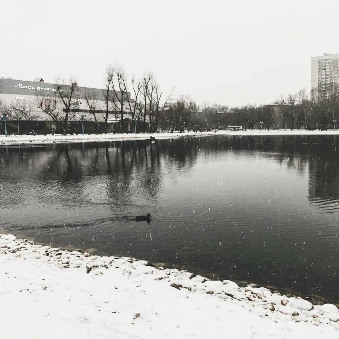 Пруд марс москва. Кинотеатр марс алтуфьево пруд.