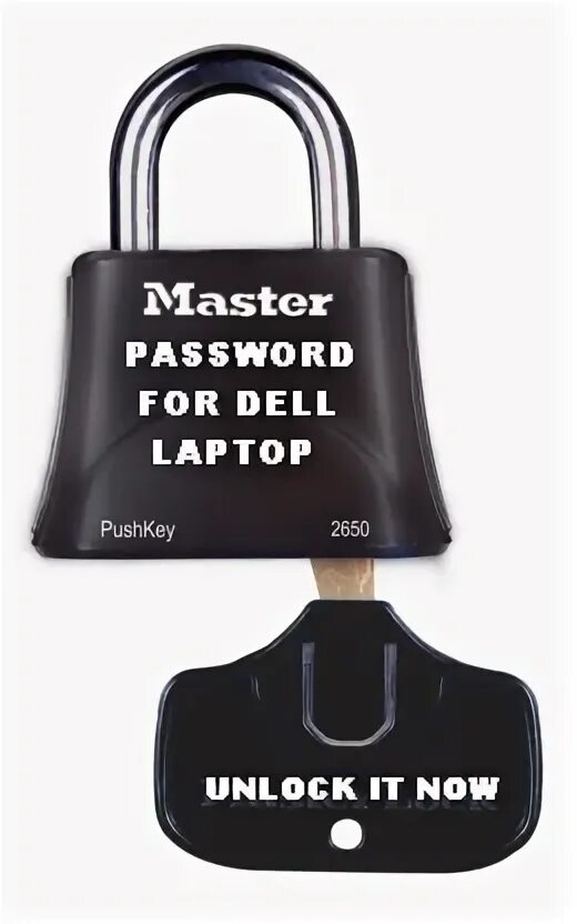 Master password