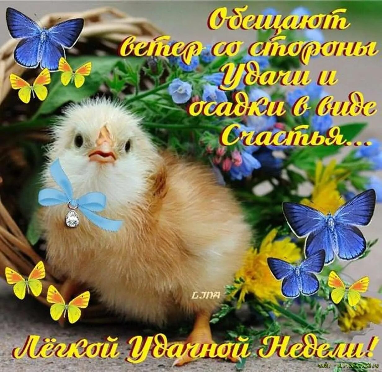 Хорошего легкого дня и отличного. Добрые пожелания. открытки на каждый день. открытки удачного понедельника и хорошего настроения. открытки с добрым понедельником.