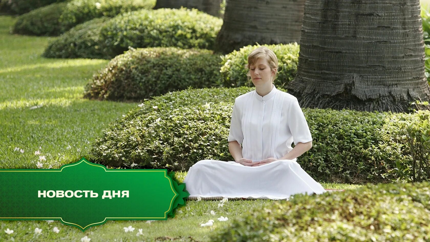 Медитация метты. Метта медитация любящей доброты. практика медитации метта. медитация метта бхавана любящая доброта. . метта. медитация книги.
