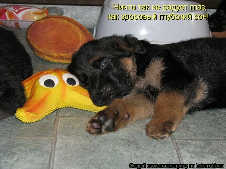 апатия ничего не радует