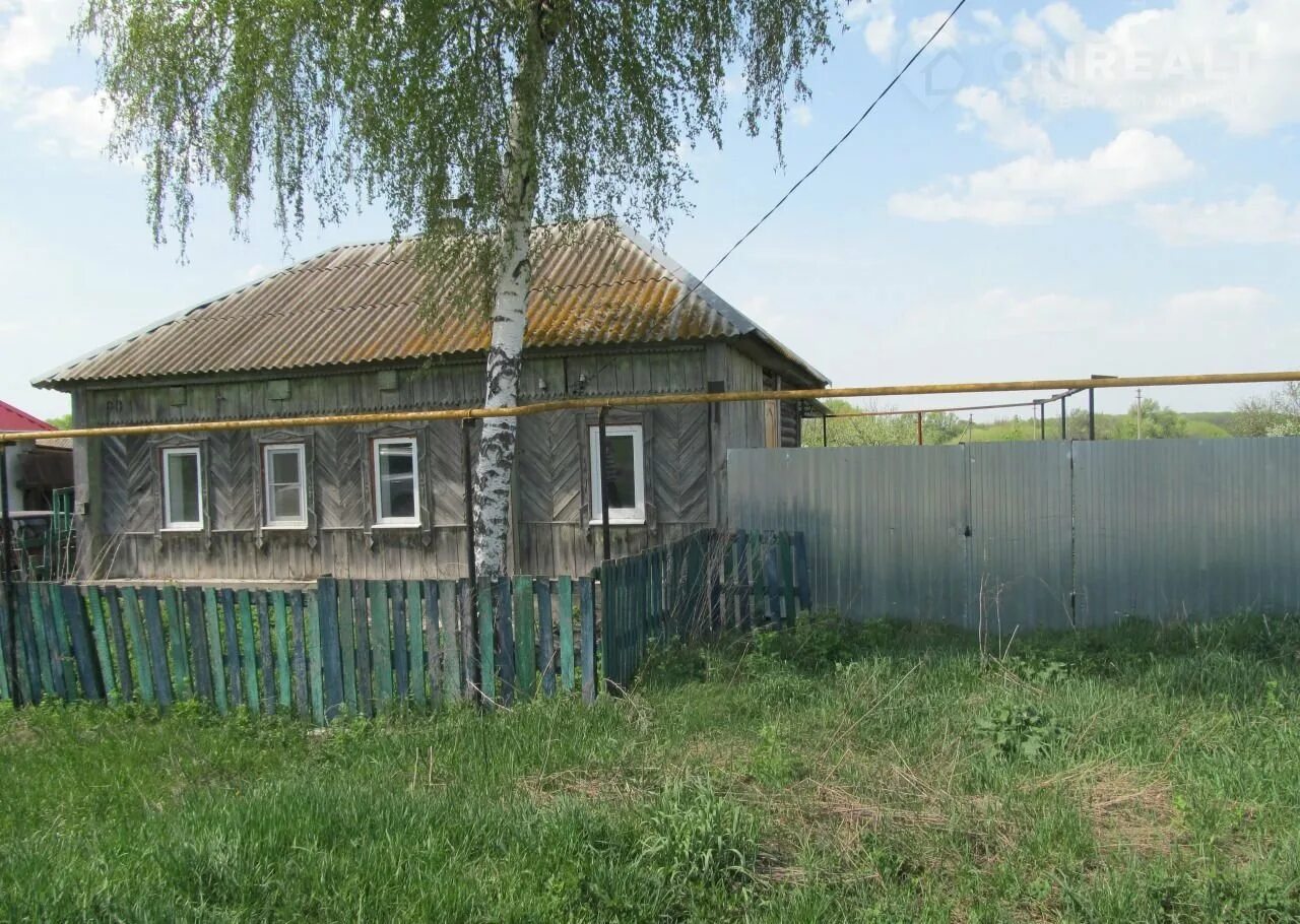 Село беляево. Деревня беляево липецкая область. беляево усманский район.