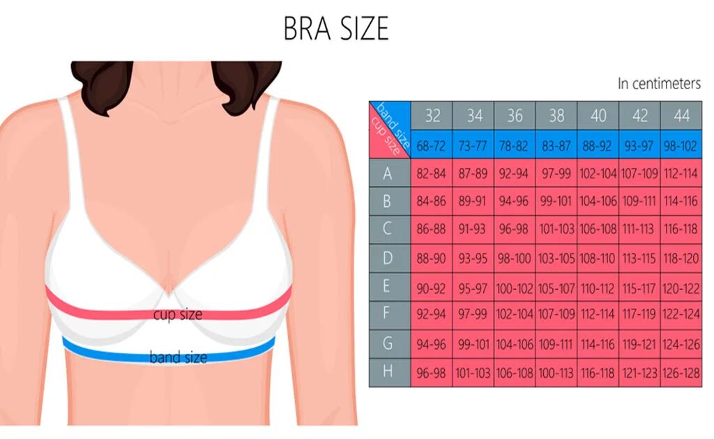Какой первый размер. E-cup размер. bra cup size. 1 размер грудины у женщин. b bra cup size.