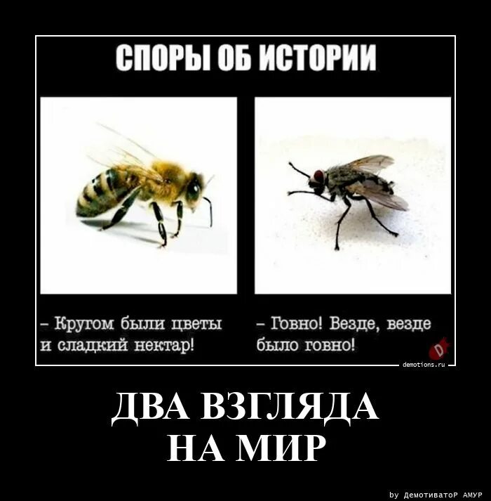 вокруг говно и помойки вокруг цветы и благоухание. маленькие истории о запретной любви. два взгляда на жизнь. два взгляда на мир муха и пчела. взгляд мухи и пчелы.