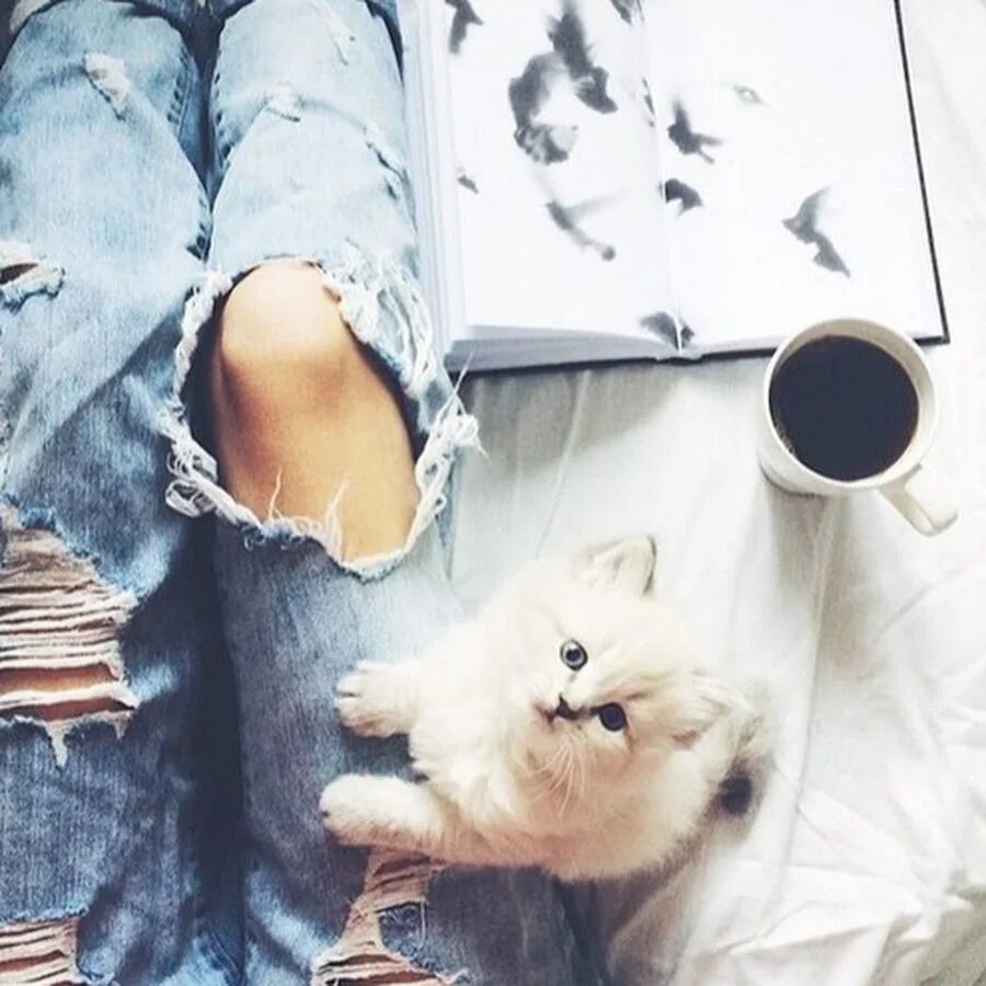 Блондинка и кот. Блондинка с кошкой. девушка с котиком. девушка с кошкой без лица. блондинка с белой кошкой.