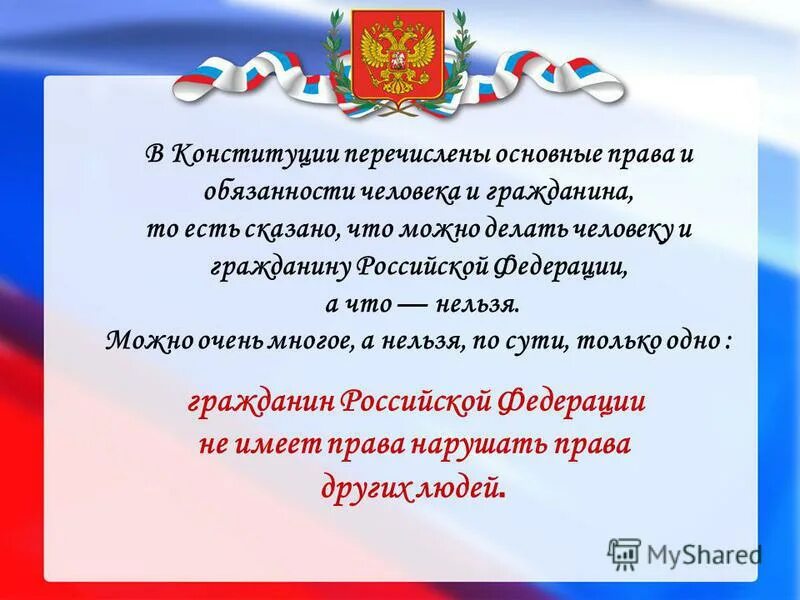 Гражданин можно просто гражданин. Конституция Российской Федерации. Конституция РФ презентация.