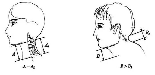 Размер цепочки для колье. Наложение воротника шанца алгоритм. Высота шеи. Размеры цепочек для женщин. Норма длины шеи.