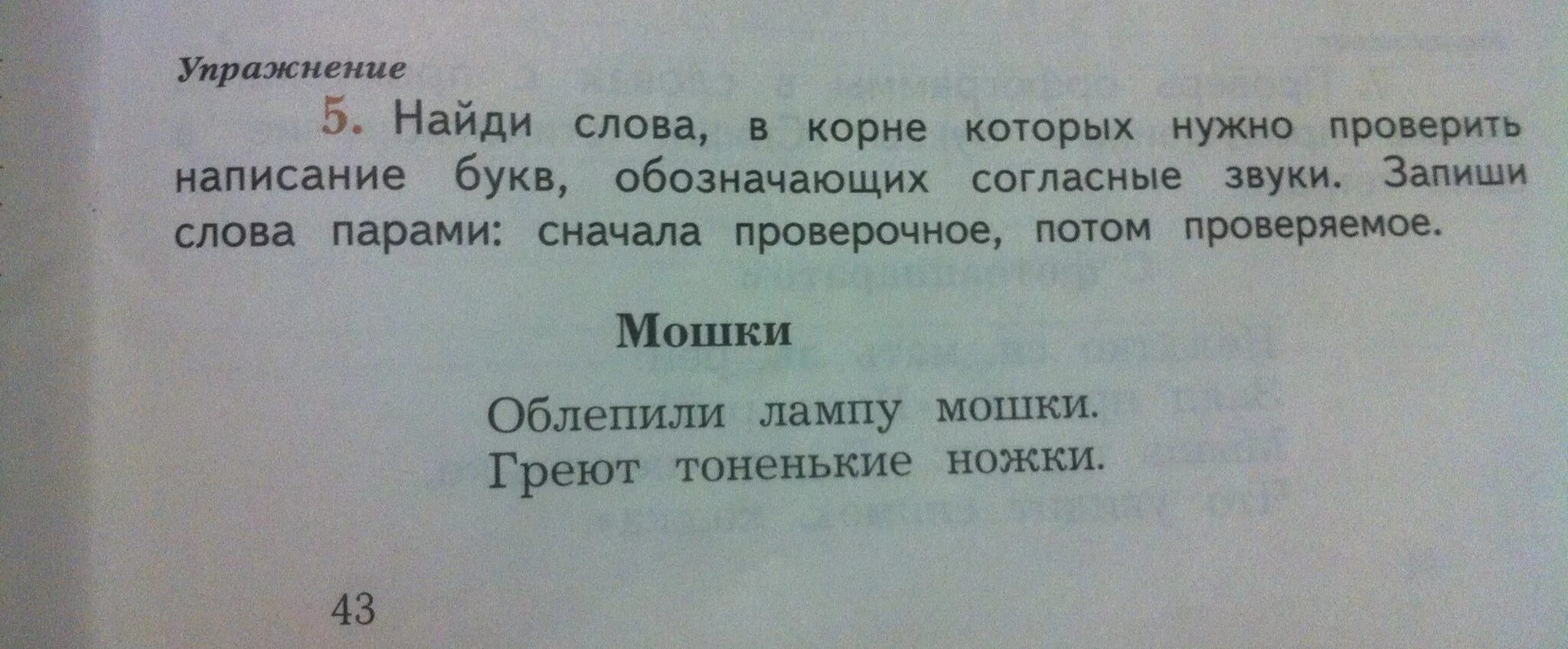 Сначала проверочное потом проверяемое слово. Слова в корне которых нужно проверить написание букв обозначающих. Мошки проверочное слово. Найди слова в корне которых нужно проверить написание. Подчеркни буквы которые нужно проверять