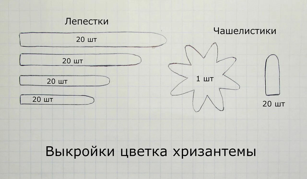 Шаблон хризантемы. Выкройка хризантемы. Лекало хризантемы. Макет хризантемы из фоамирана. Лепесток хризантемы шаблон.