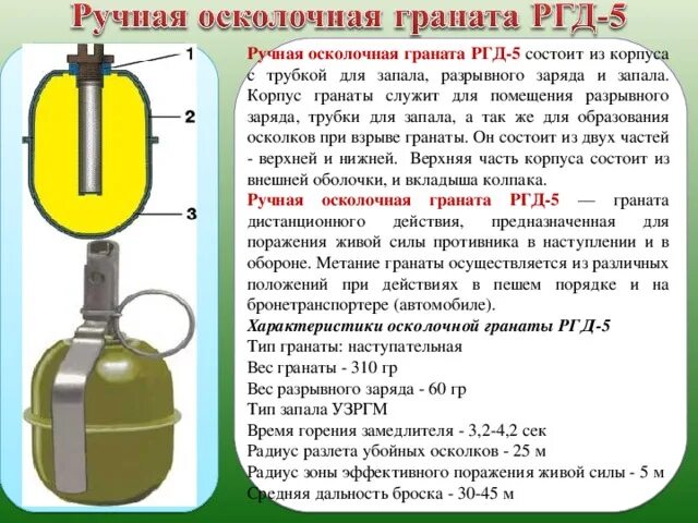 Сколько граната можно. Устройство гранаты РГД 5 И ф1. ТТХ гранаты РГД-5. Граната РГД 5 радиус поражения. Вес гранаты РГД-5.