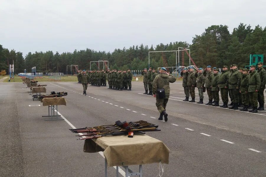 Барс боевой армейский. Барс мобилизационный резерв 2025. боевой резерв барс. барс армейский резерв. боевой армейский резерв специальный барс.