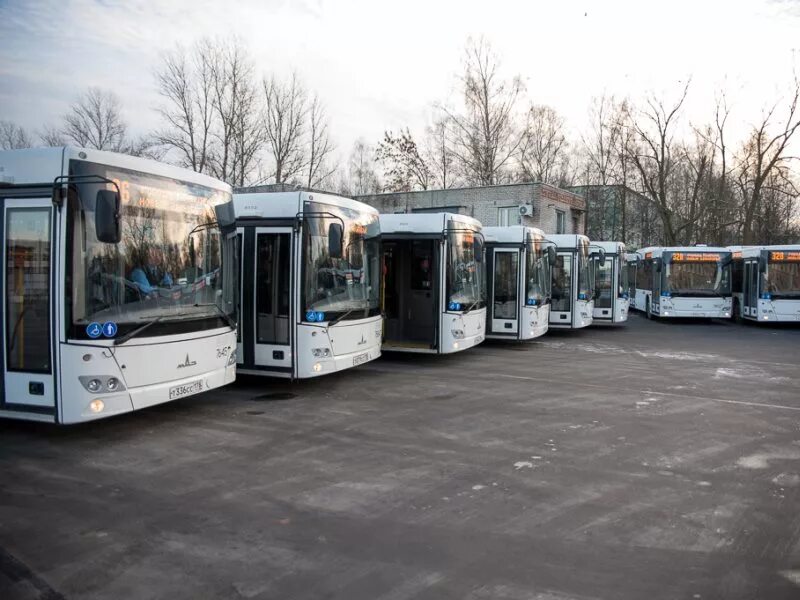 Автопарков петербурга. Пассажиравтотранс Колпинский Автобусный парк. Колпинский Автобусный парк СПБ ГУП Пассажиравтотранс. Пассажиравтотранс Колпинский парк. СПБ ГУП Пассажиравтотранс.