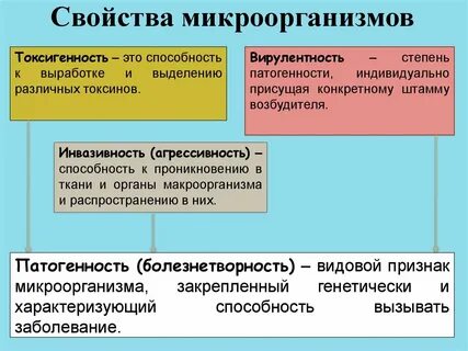 К биологическим патогенным факторам относятся
