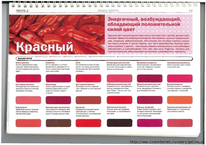 оттенки красного. что относится к красному цвету. разновидности красных оттенков. оттенки красного. что относится к красному цвету.