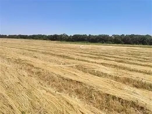 Продам сх земли. Распаханная степь. Земельный участок для сх. Распаханная степь. Продам сх земли.