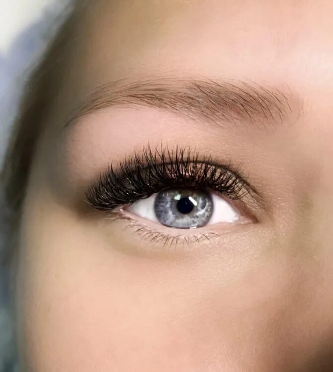 ресницы классика 13мл. ресницы 2д 12мм. ресницы 2д 12мм фото. изгиб l 12 мм.