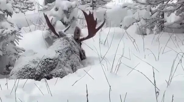 Мы знали что под рыхлым снегом. Рыхлые сугробы. Грабарь мартовский снег. Мы знали что под рыхлым снегом. Снег.